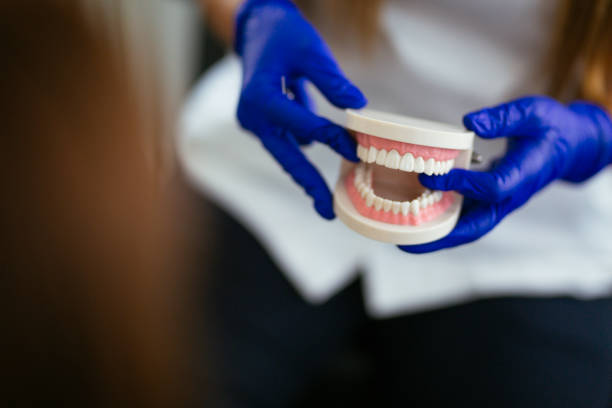 Best Orthodontics  in Cambridge, IL